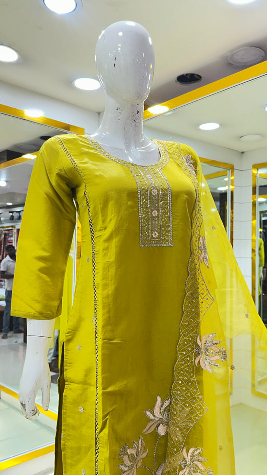 Kurti_Pant D8179